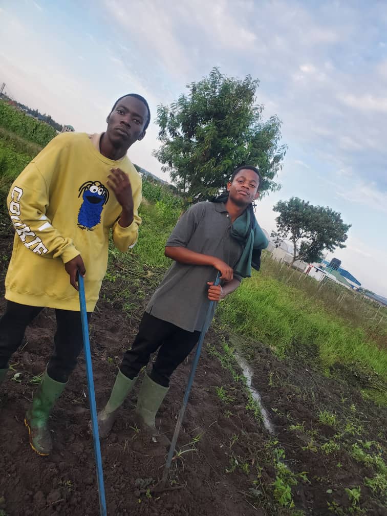 Hands in soil