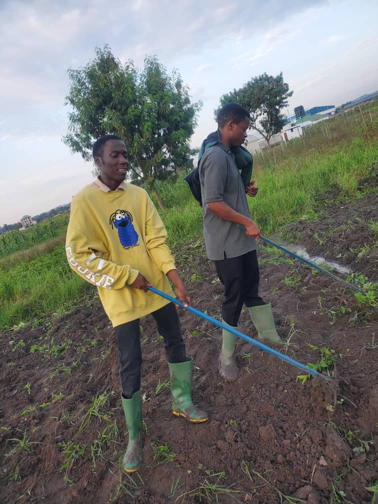 Junior and a friend weeding the field.
