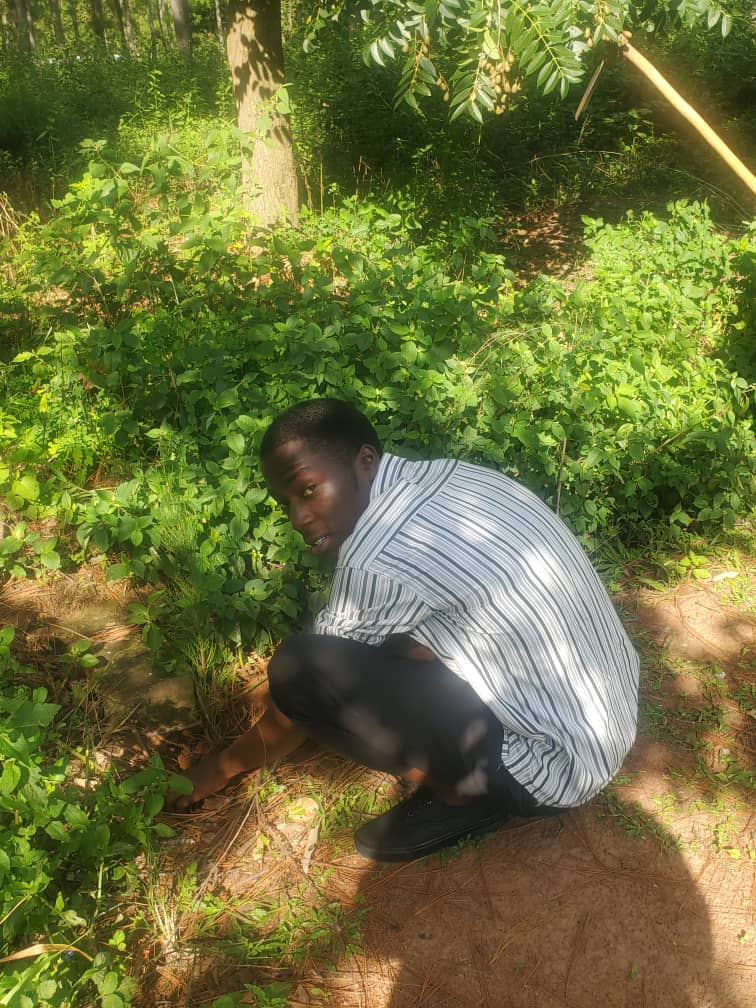 Junior crouching to inspect plants.
