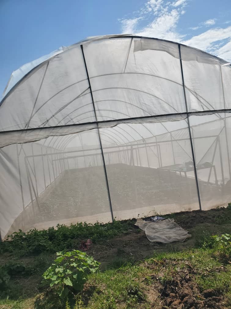 Exterior view of a modern greenhouse.