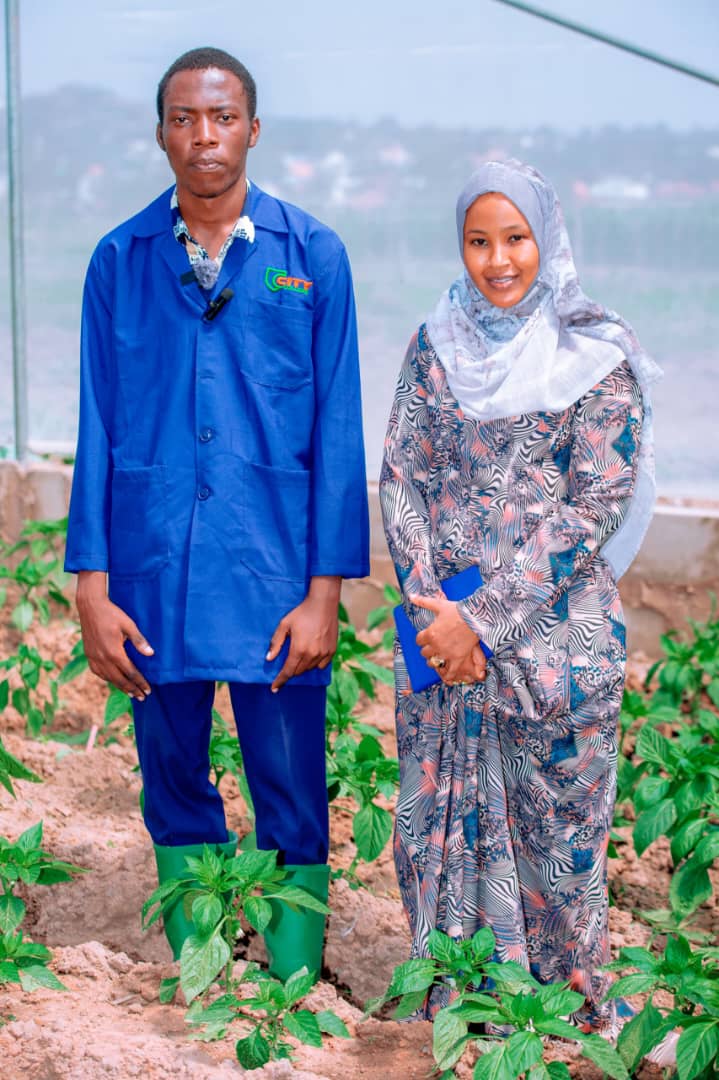 Junior with Madam Zabibu Urassa inside the pepper greenhouse.