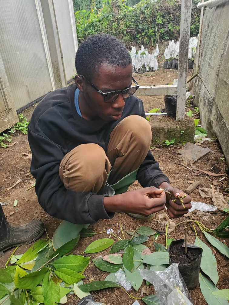 Junior inspecting seedlings growing in polybags.