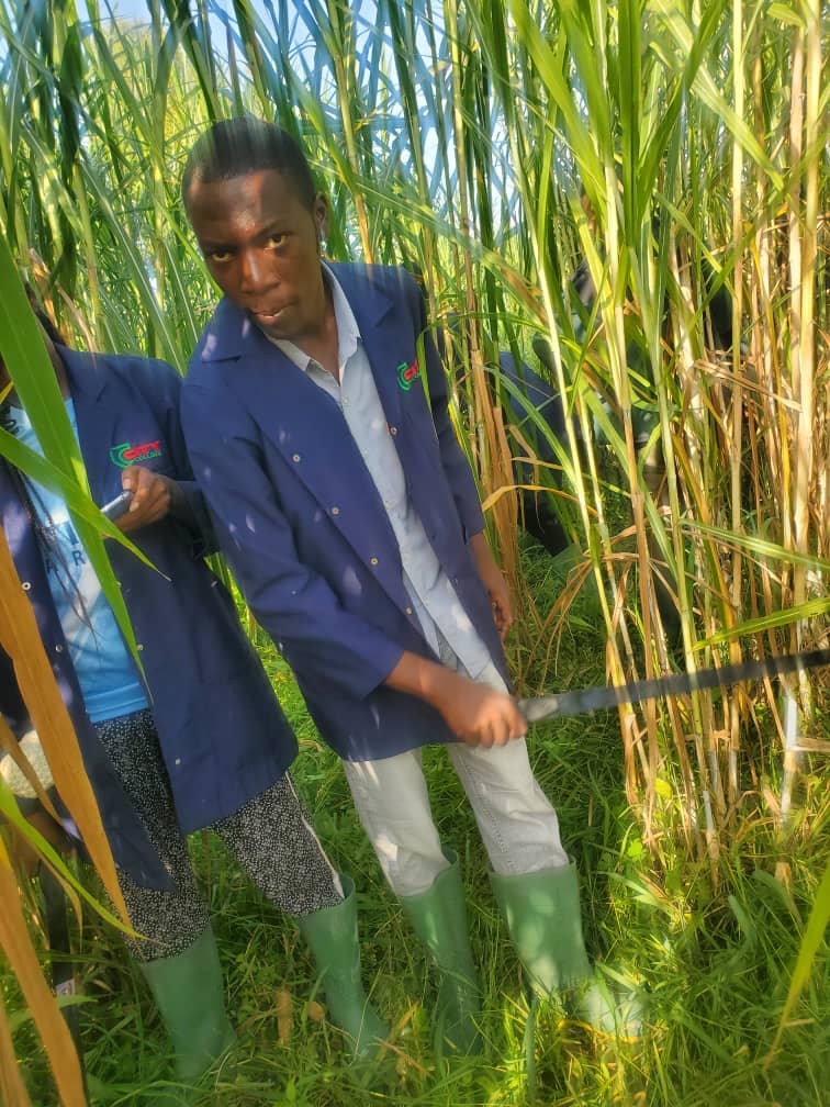 Junior measuring plant height with a tape measure.